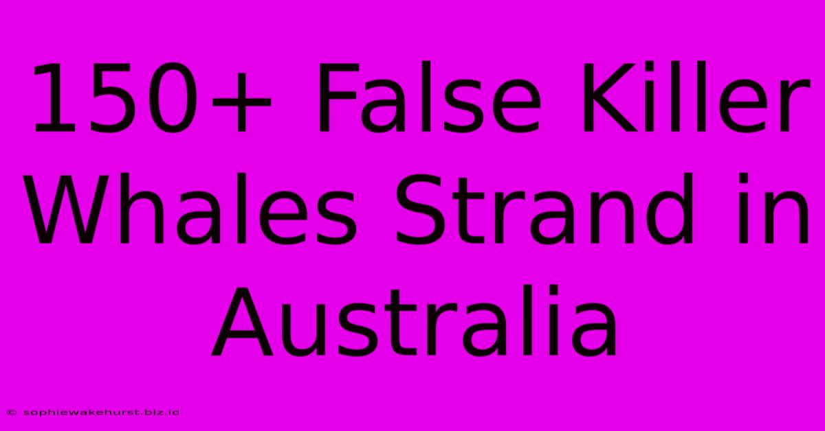 150+ False Killer Whales Strand In Australia