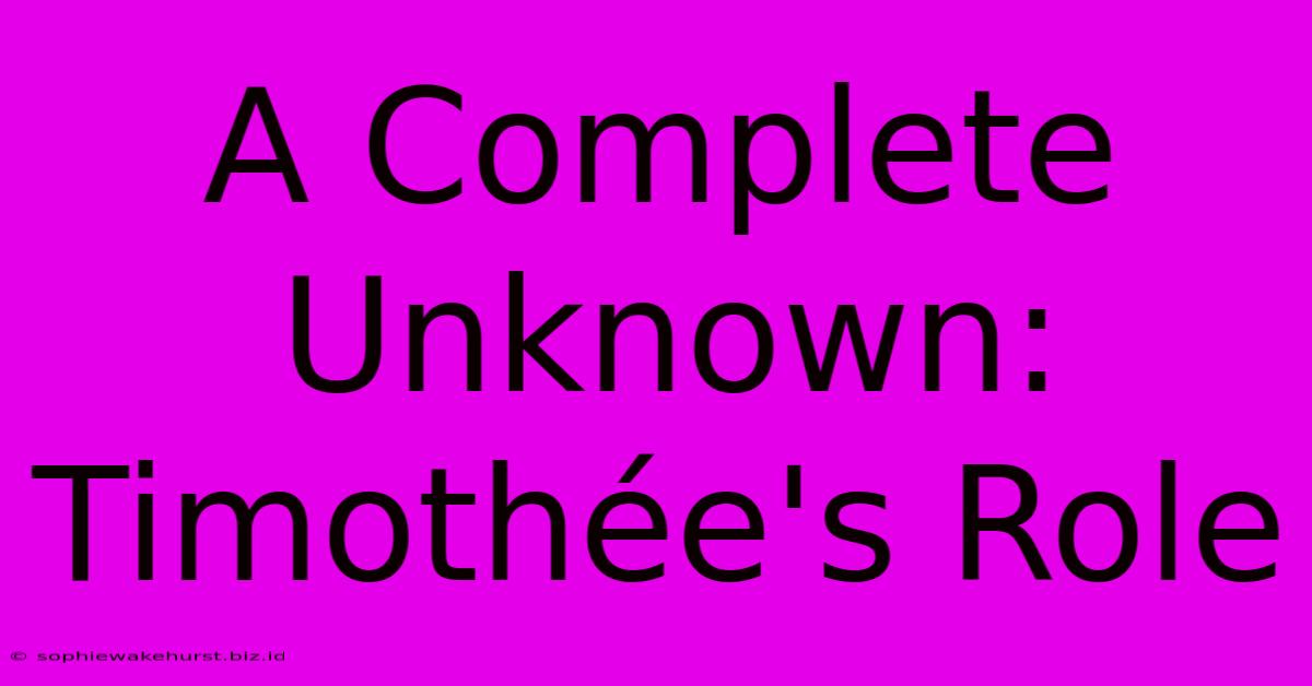 A Complete Unknown: Timothée's Role