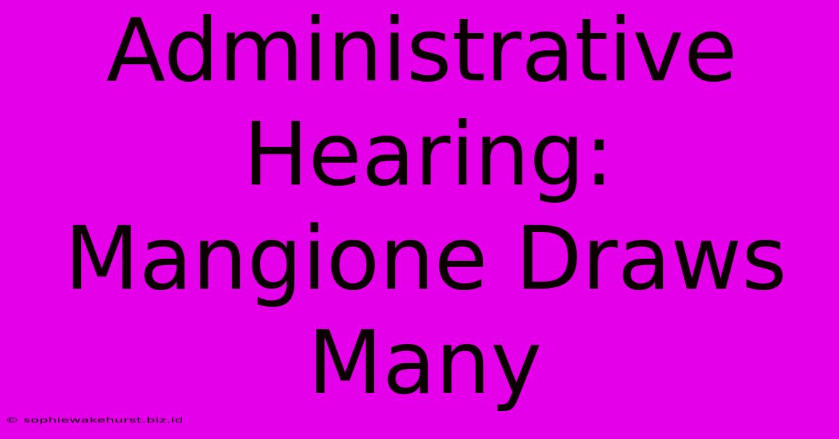 Administrative Hearing: Mangione Draws Many