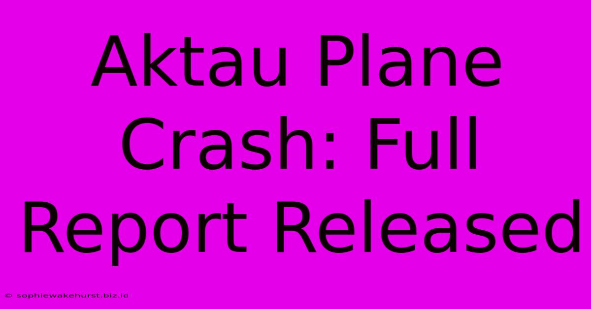 Aktau Plane Crash: Full Report Released