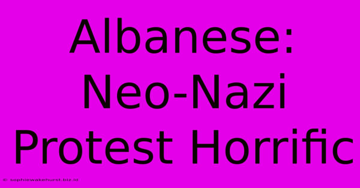 Albanese: Neo-Nazi Protest Horrific