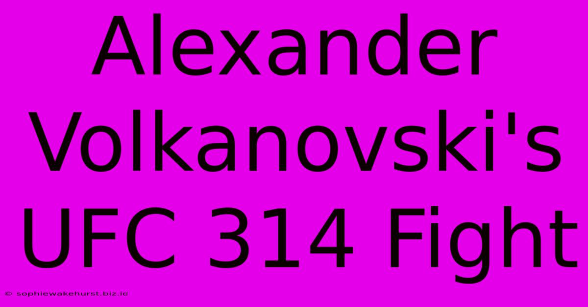 Alexander Volkanovski's UFC 314 Fight