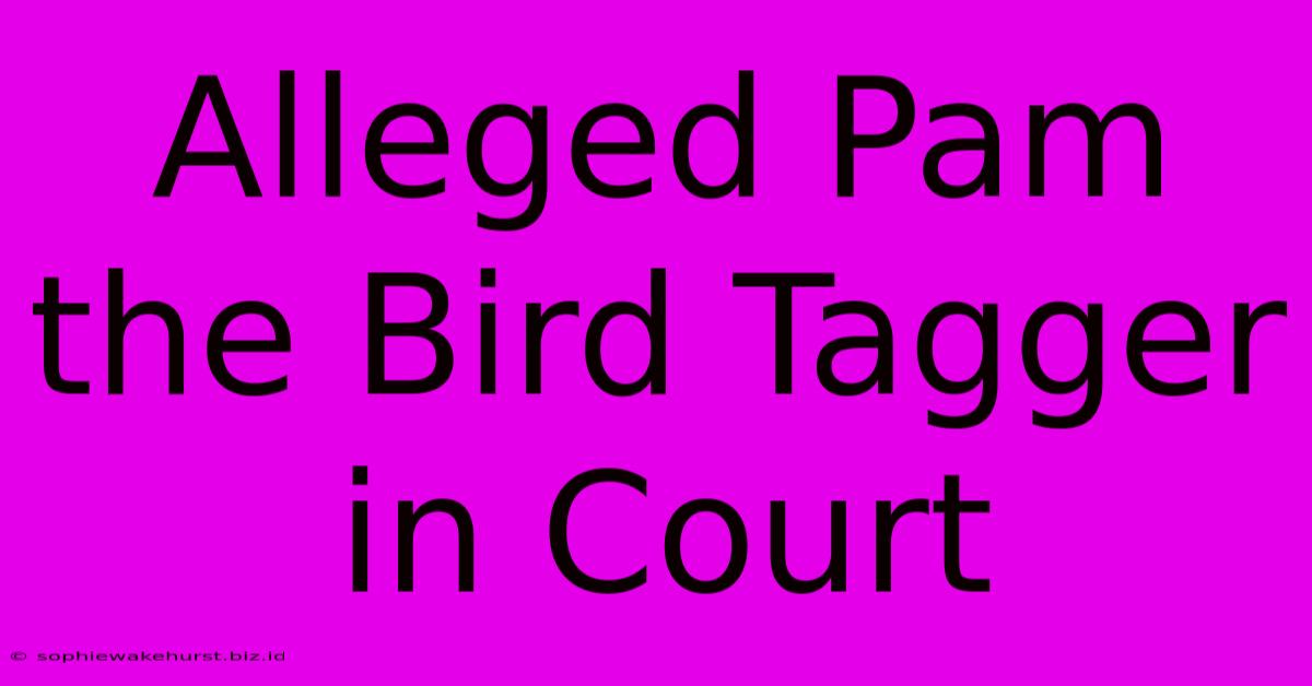 Alleged Pam The Bird Tagger In Court