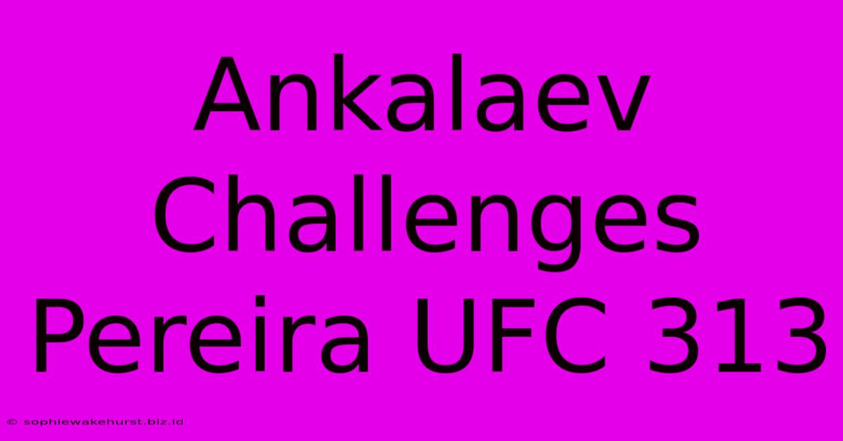 Ankalaev Challenges Pereira UFC 313