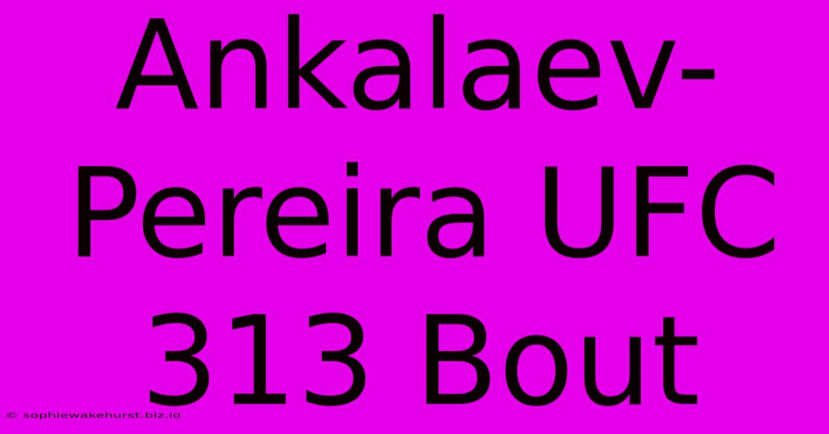 Ankalaev-Pereira UFC 313 Bout