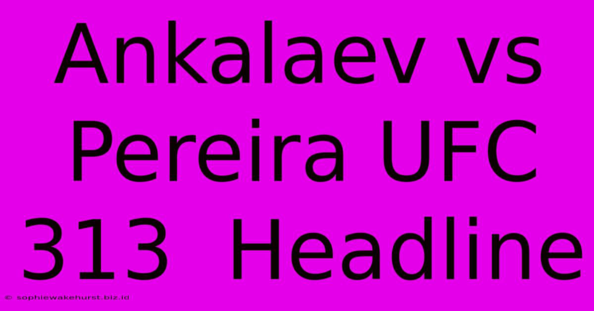 Ankalaev Vs Pereira UFC 313  Headline