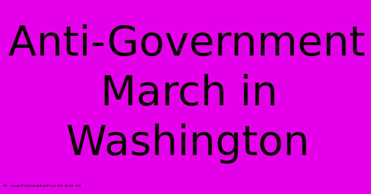 Anti-Government March In Washington