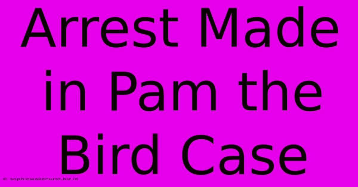 Arrest Made In Pam The Bird Case