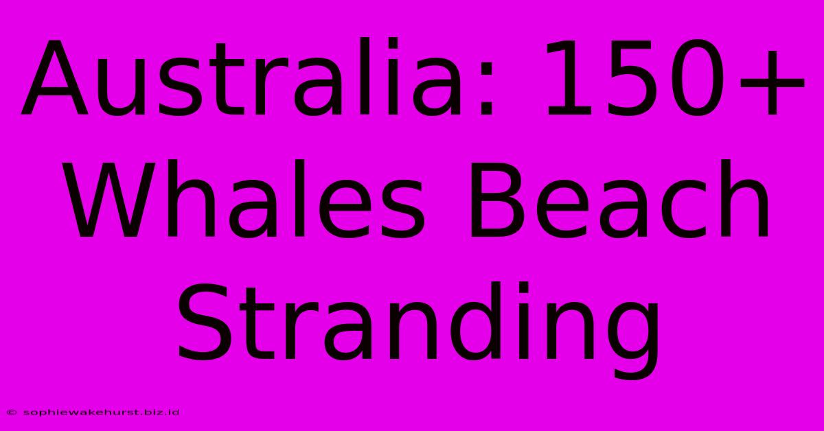 Australia: 150+ Whales Beach Stranding