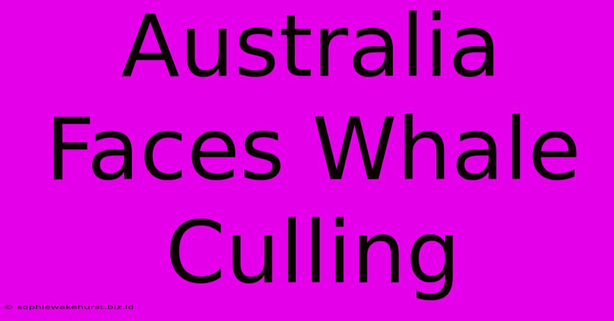 Australia Faces Whale Culling