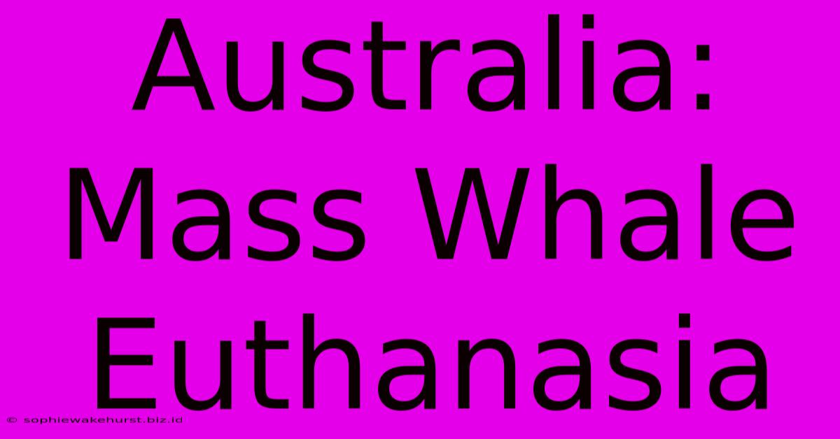 Australia: Mass Whale Euthanasia