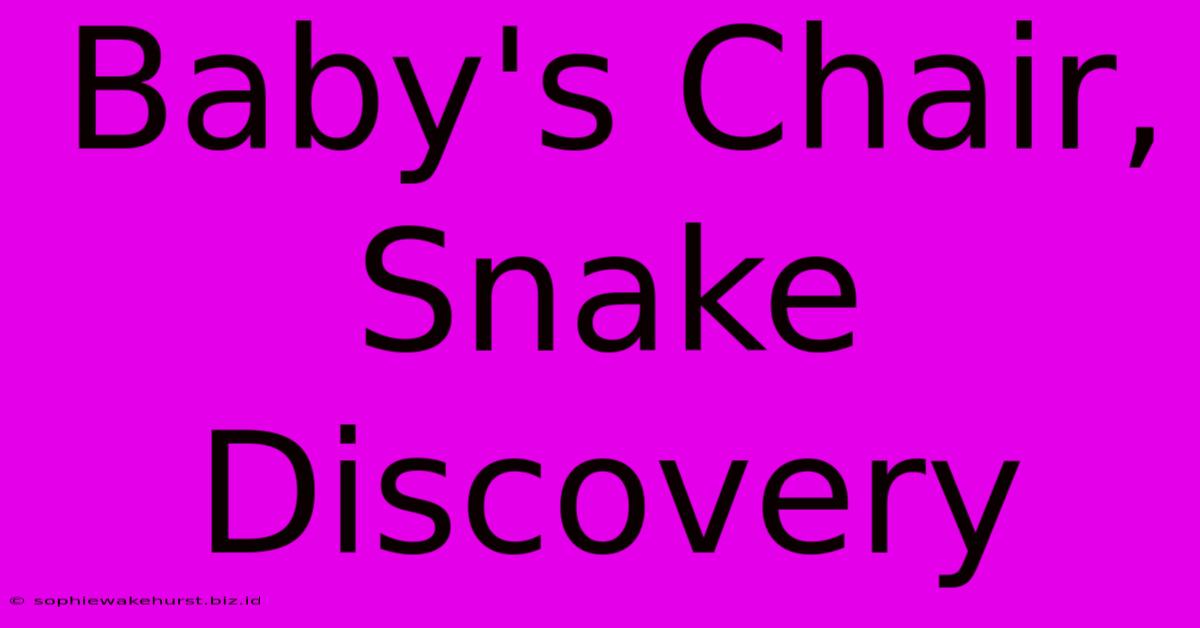 Baby's Chair, Snake Discovery