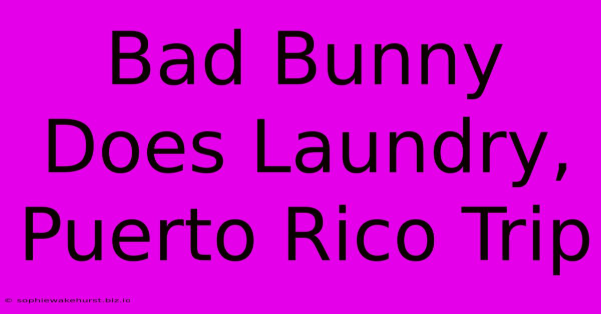 Bad Bunny Does Laundry, Puerto Rico Trip