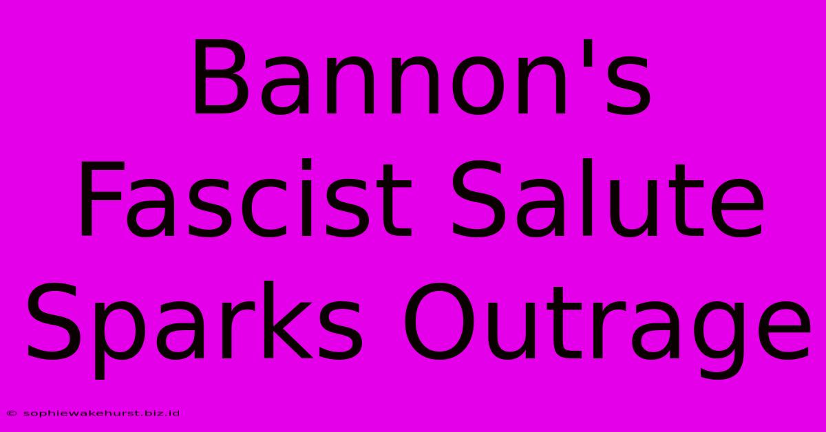 Bannon's Fascist Salute Sparks Outrage