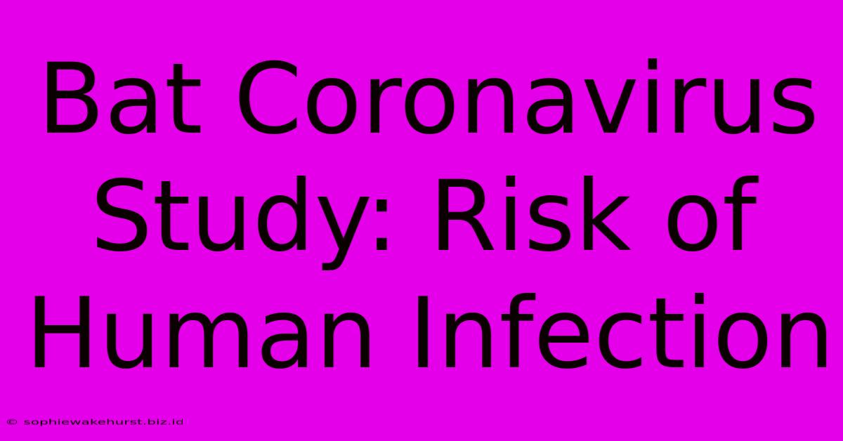 Bat Coronavirus Study: Risk Of Human Infection