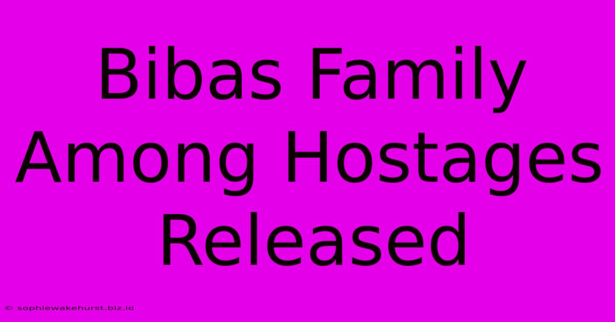 Bibas Family Among Hostages Released