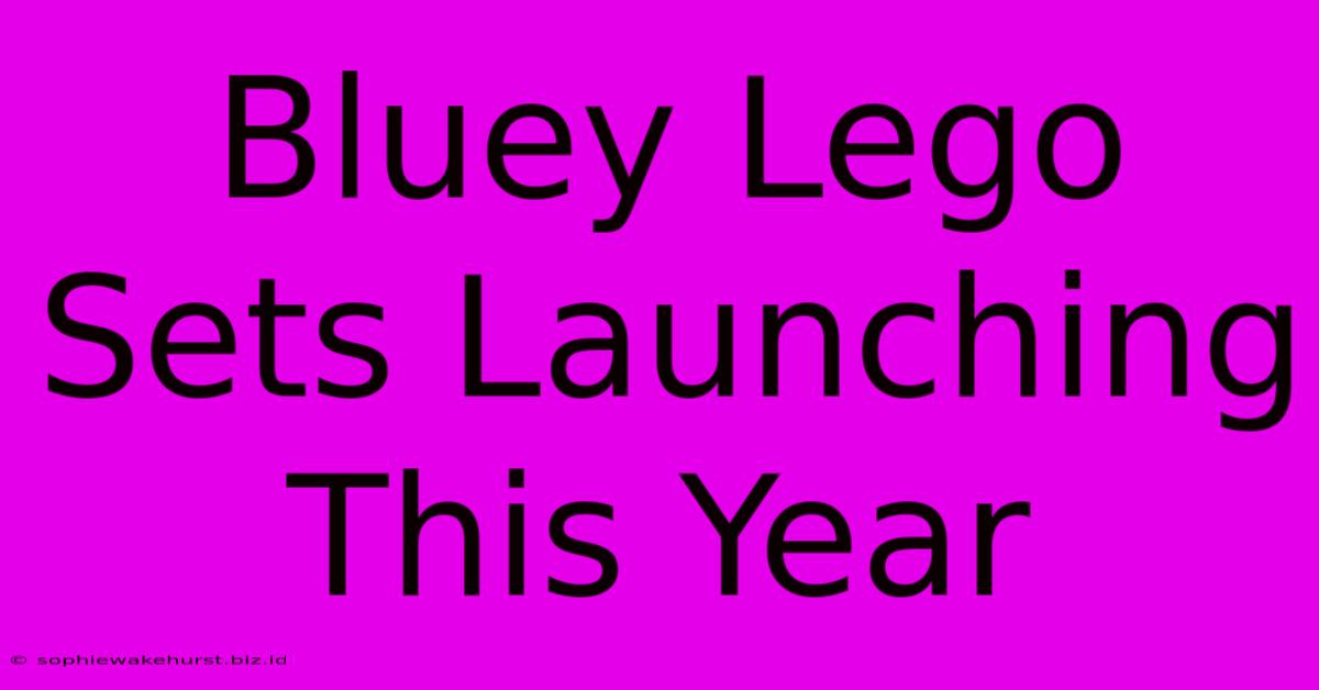 Bluey Lego Sets Launching This Year