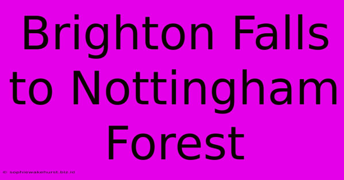 Brighton Falls To Nottingham Forest