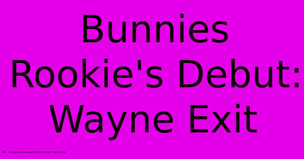 Bunnies Rookie's Debut: Wayne Exit