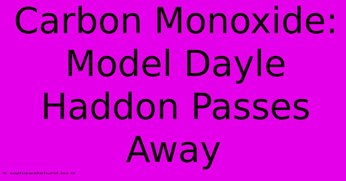 Carbon Monoxide: Model Dayle Haddon Passes Away