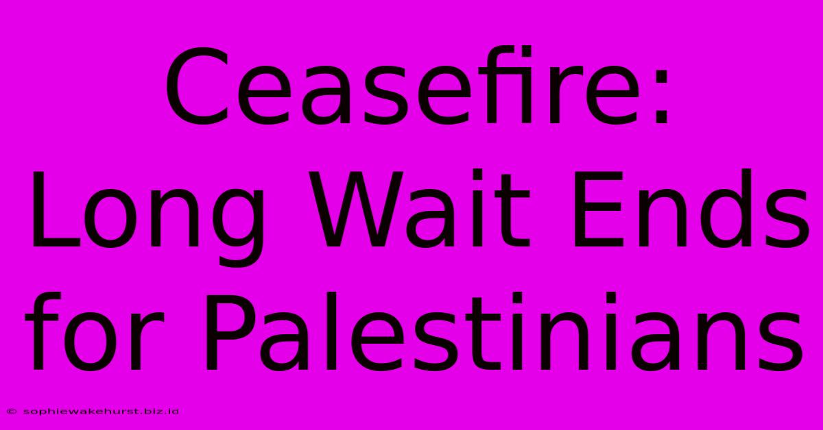 Ceasefire: Long Wait Ends For Palestinians