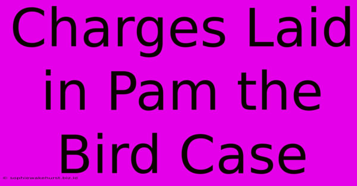 Charges Laid In Pam The Bird Case