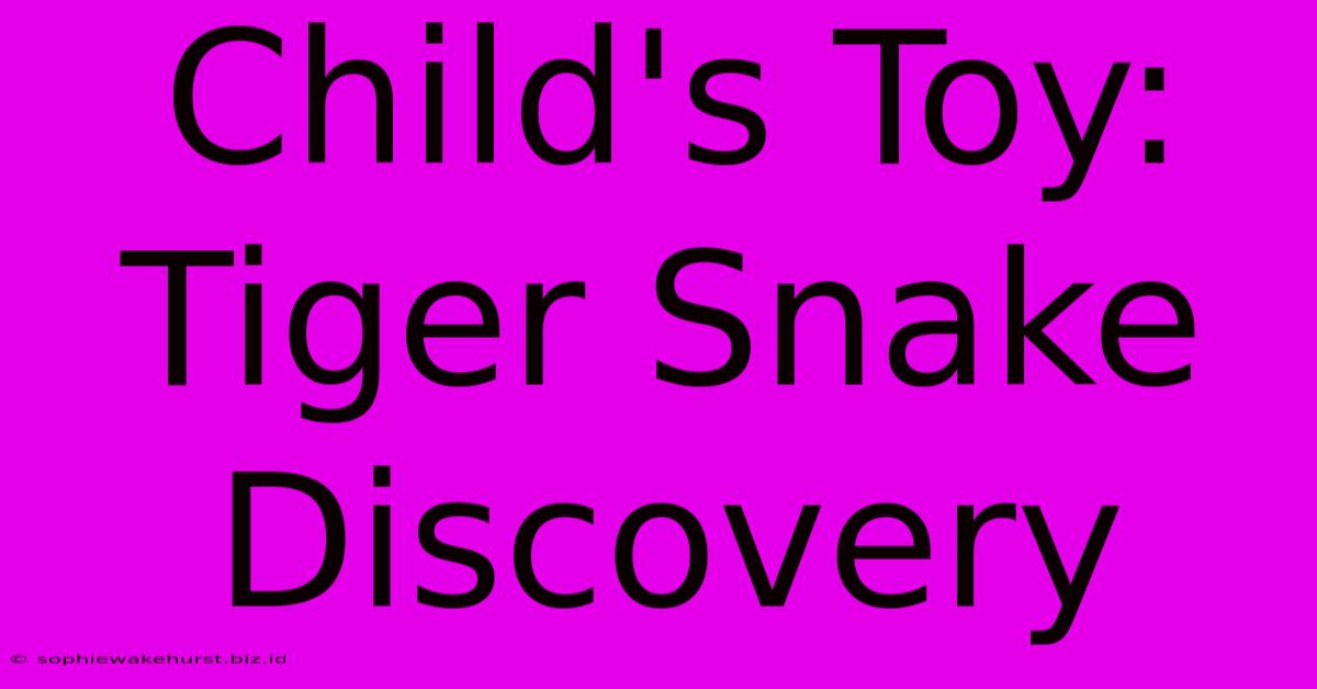 Child's Toy: Tiger Snake Discovery