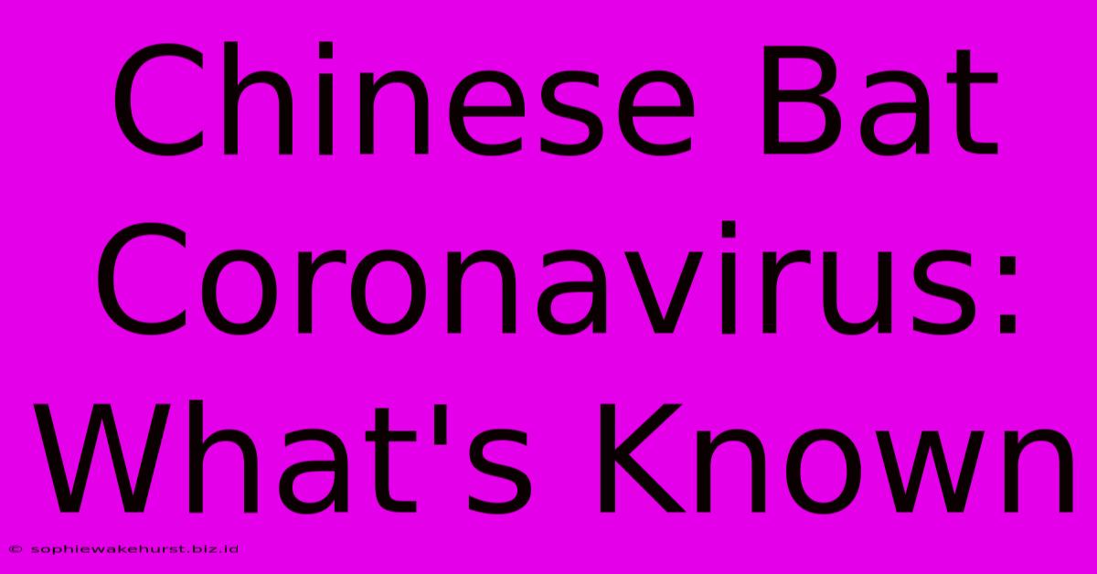 Chinese Bat Coronavirus: What's Known