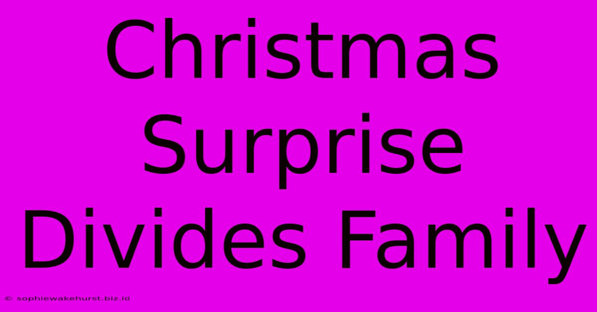 Christmas Surprise Divides Family