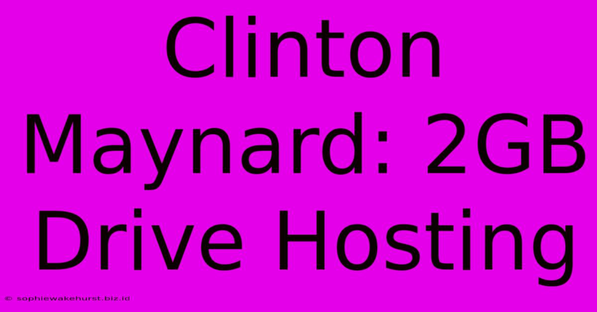 Clinton Maynard: 2GB Drive Hosting