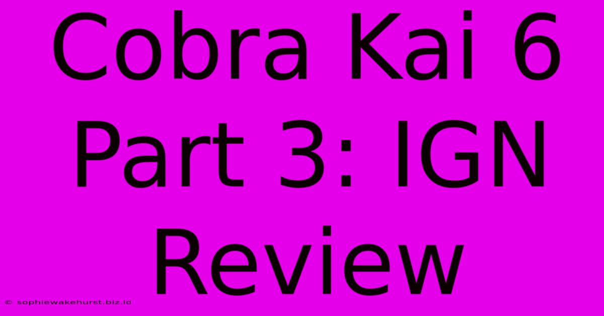 Cobra Kai 6 Part 3: IGN Review