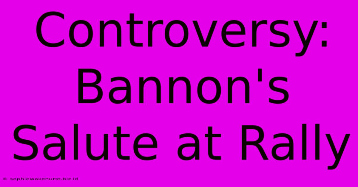 Controversy: Bannon's Salute At Rally