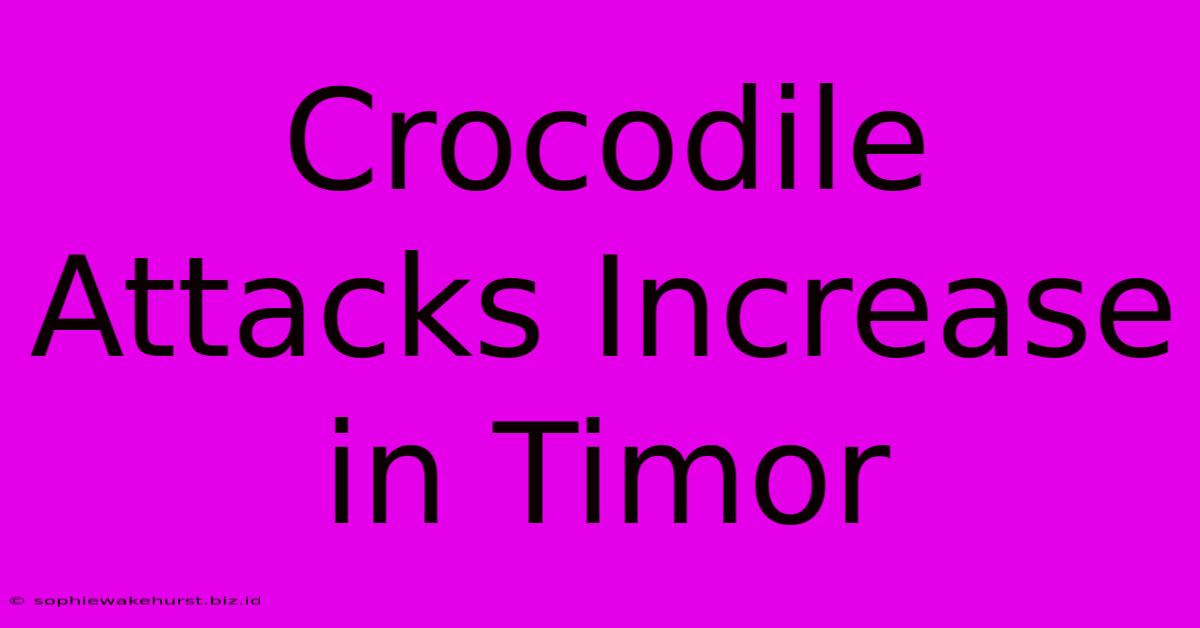 Crocodile Attacks Increase In Timor