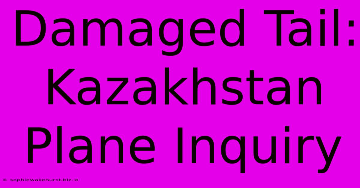 Damaged Tail: Kazakhstan Plane Inquiry