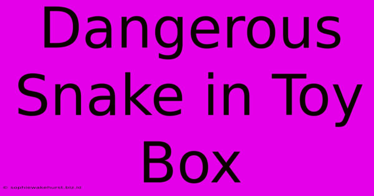 Dangerous Snake In Toy Box