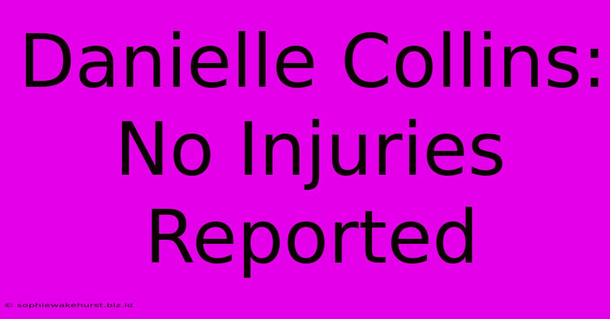 Danielle Collins: No Injuries Reported