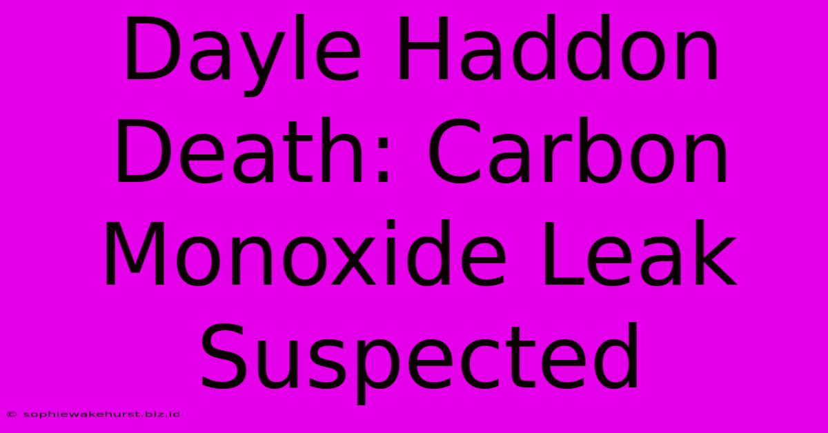 Dayle Haddon Death: Carbon Monoxide Leak Suspected