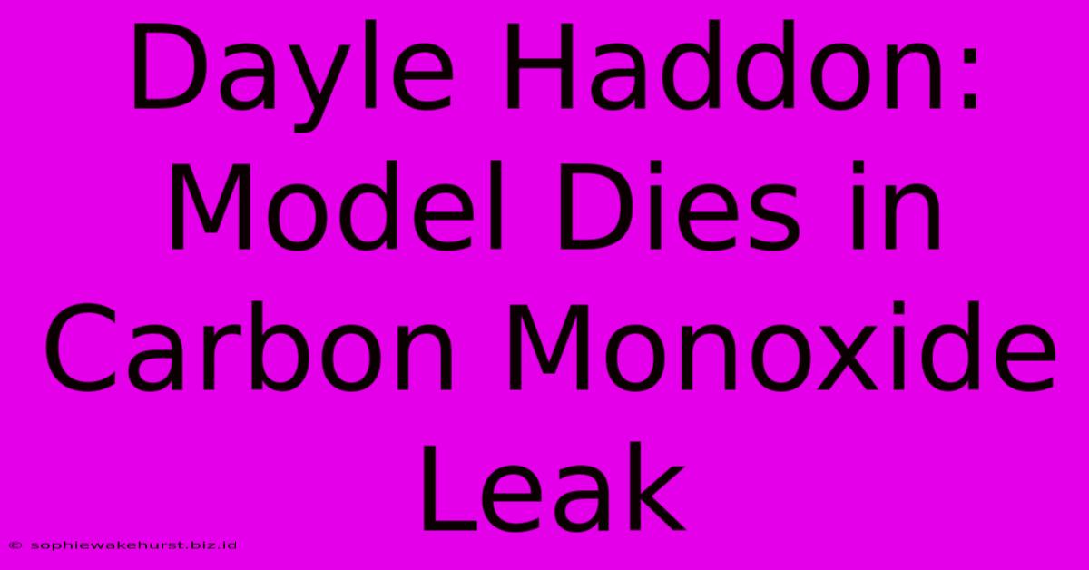 Dayle Haddon: Model Dies In Carbon Monoxide Leak