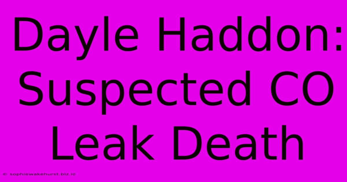 Dayle Haddon: Suspected CO Leak Death