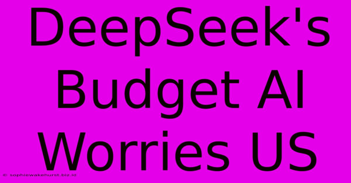 DeepSeek's Budget AI Worries US