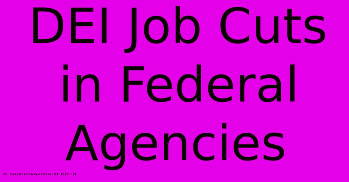 DEI Job Cuts In Federal Agencies