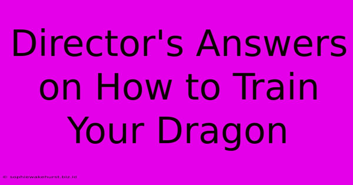 Director's Answers On How To Train Your Dragon