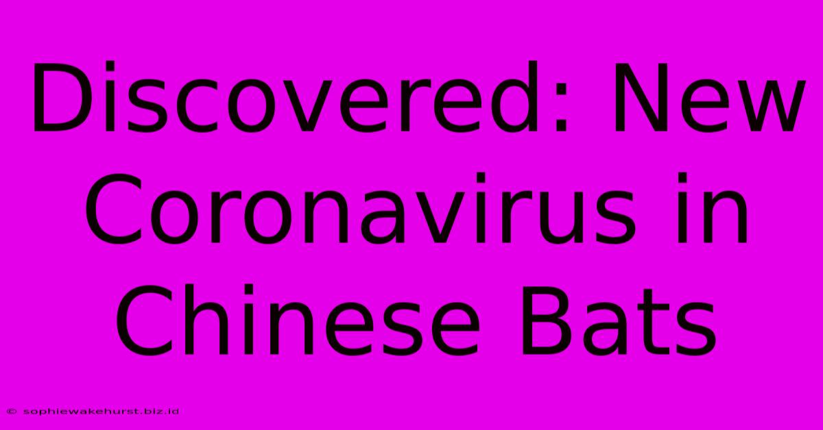 Discovered: New Coronavirus In Chinese Bats