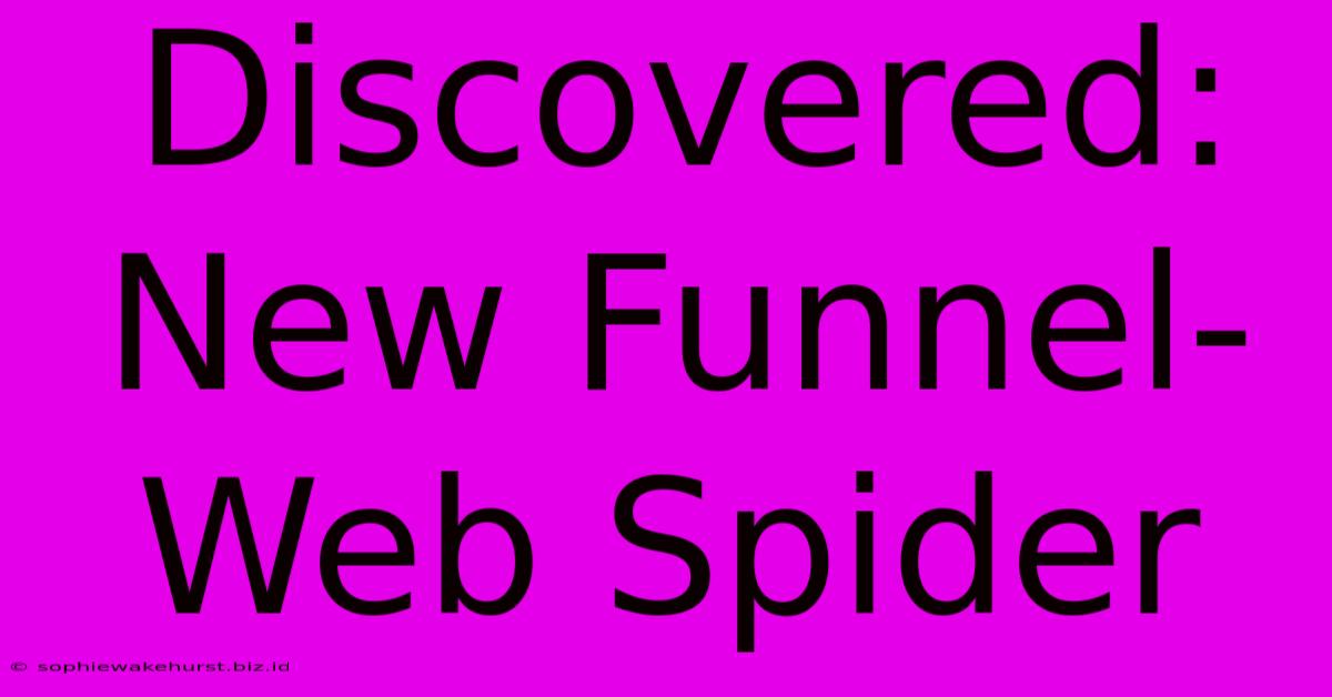 Discovered: New Funnel-Web Spider