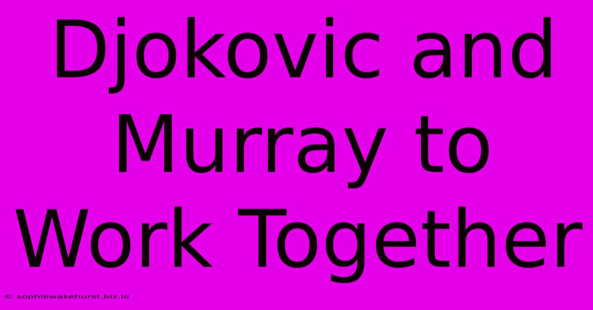 Djokovic And Murray To Work Together