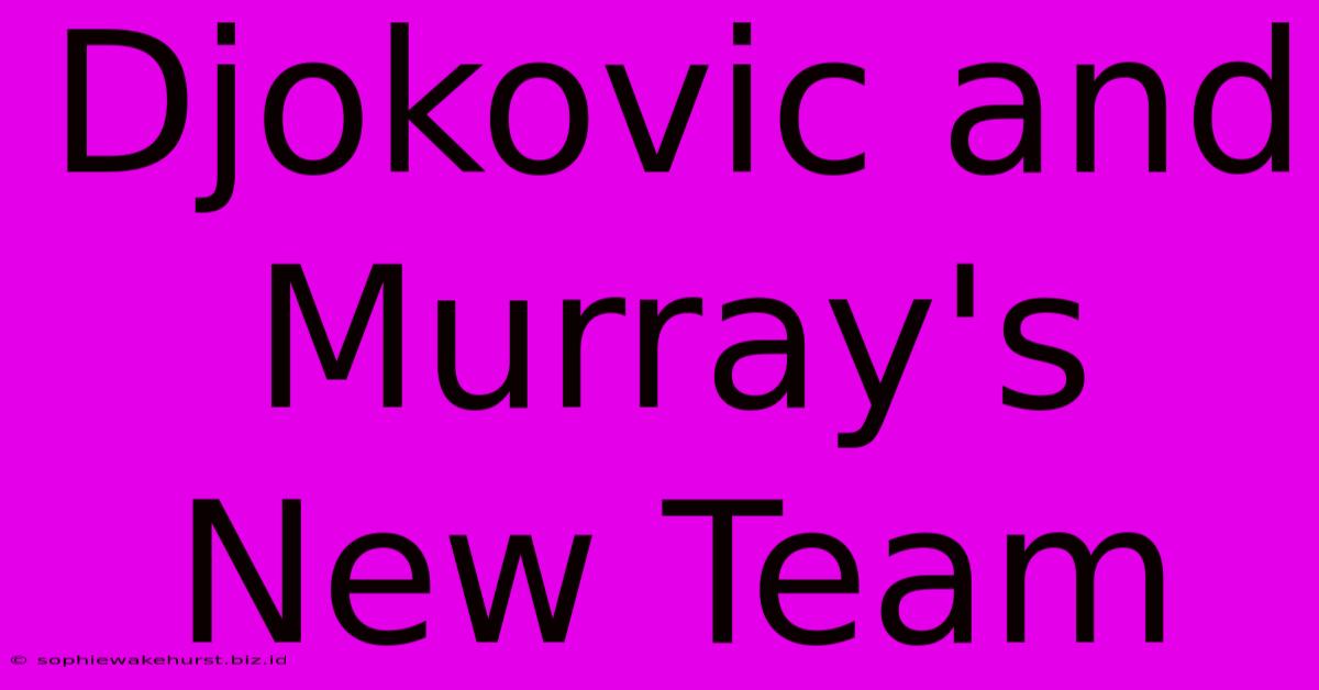 Djokovic And Murray's New Team