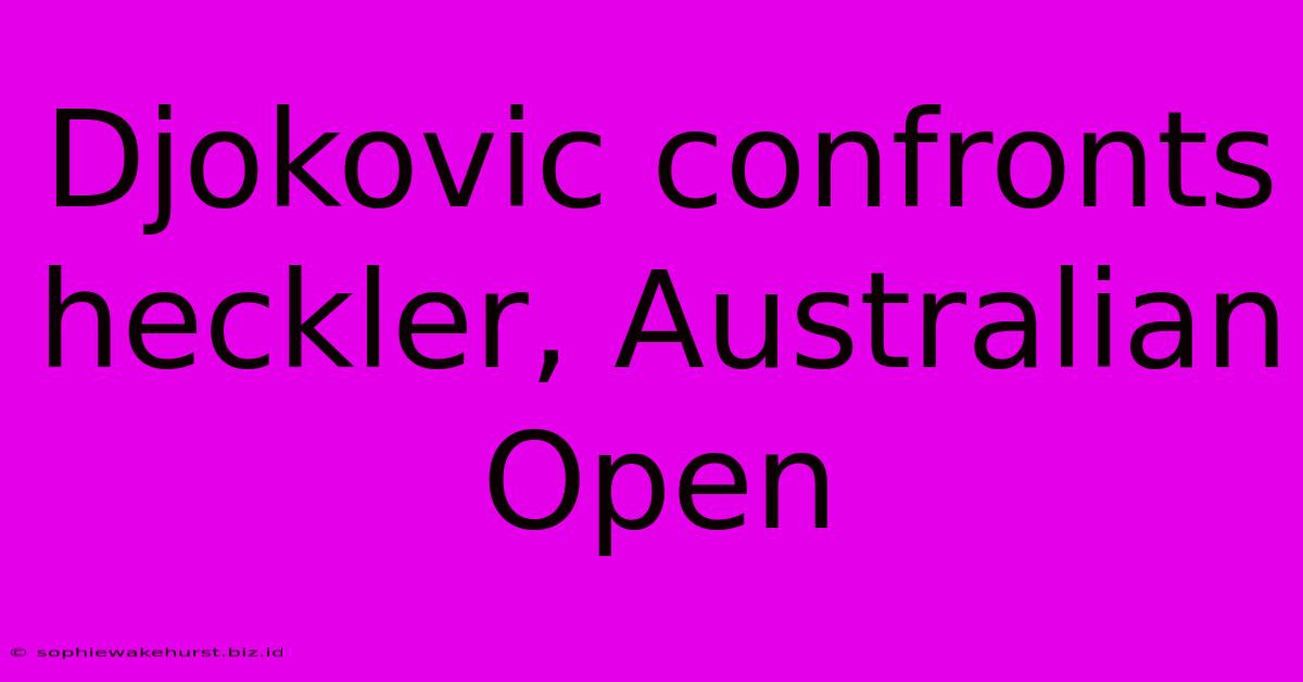 Djokovic Confronts Heckler, Australian Open