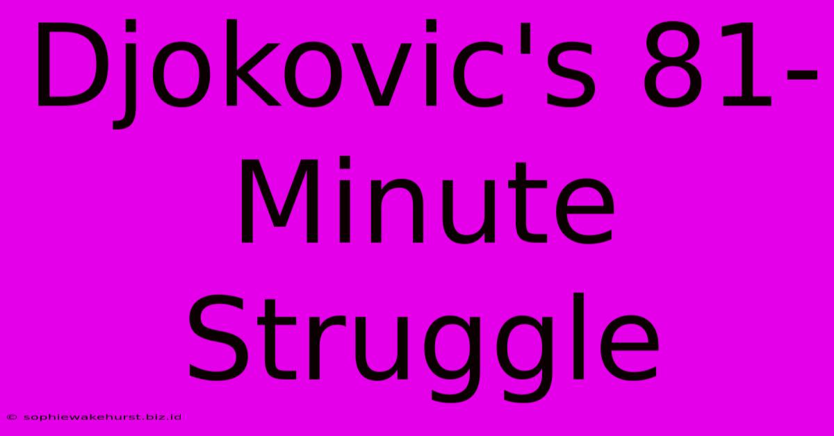 Djokovic's 81-Minute Struggle