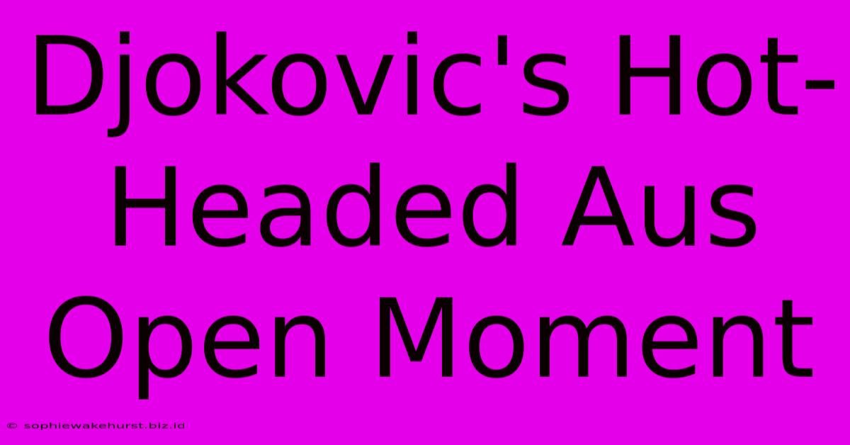 Djokovic's Hot-Headed Aus Open Moment