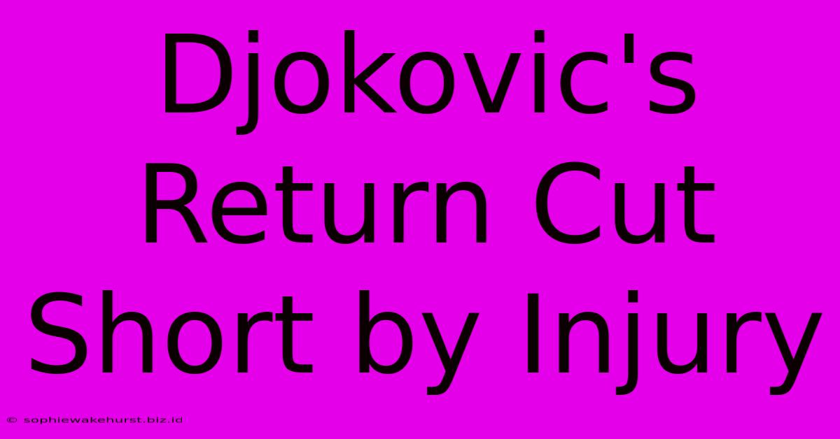 Djokovic's Return Cut Short By Injury